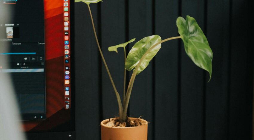 Turning Ideas Into Digital Success