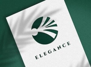 Logo Design & Branding