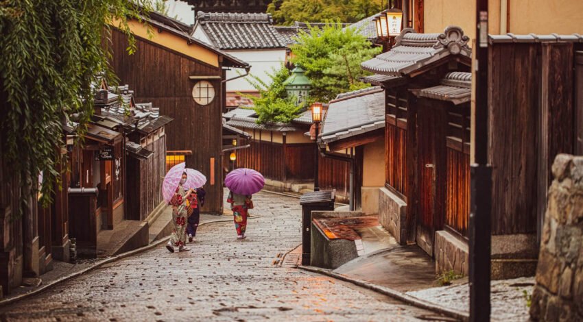 TravelVista Complete Tour Operator Solution